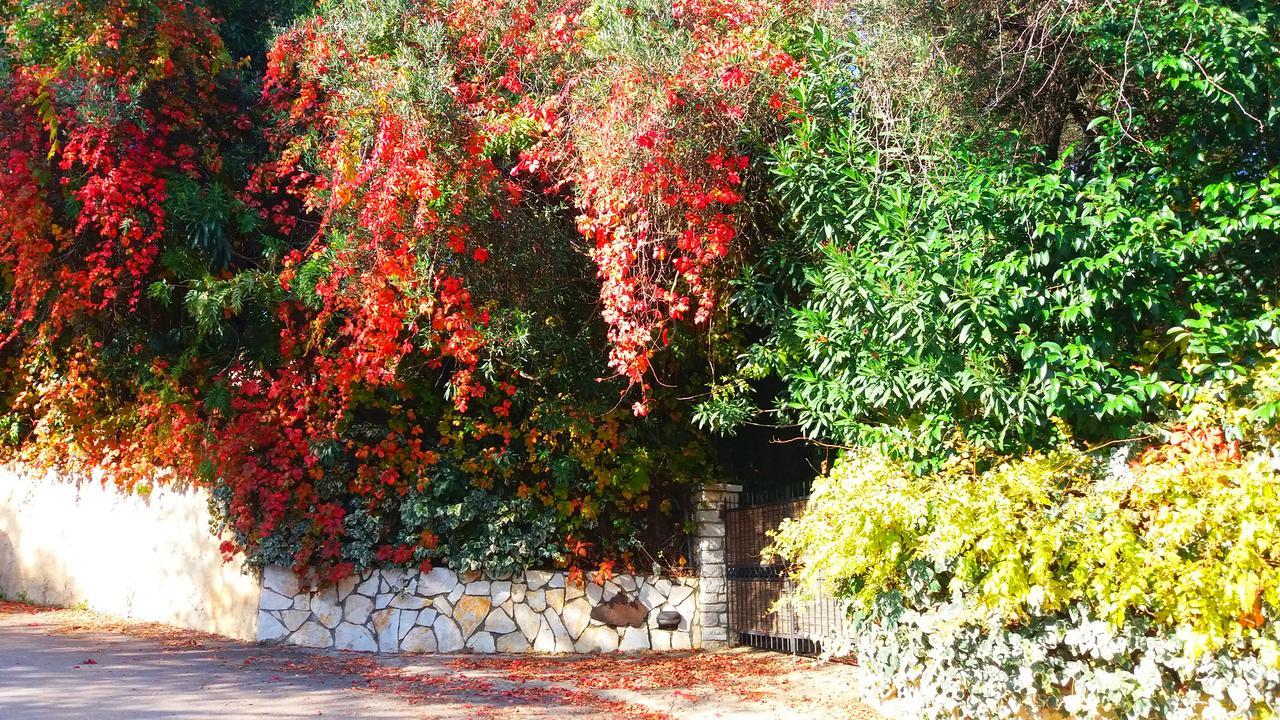 Villa Lofos คัสซิโอปี ภายนอก รูปภาพ